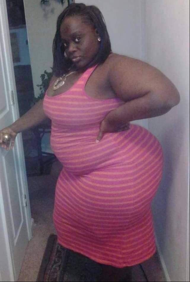 best big black beauty images on pinterest big black